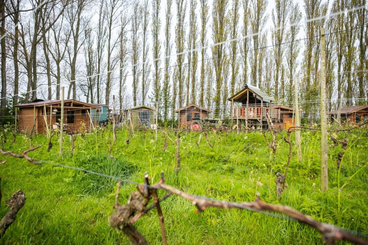 Wijndomein De Vier Ambachten -Overnachten In De Wijngaard Simonshaven 외부 사진