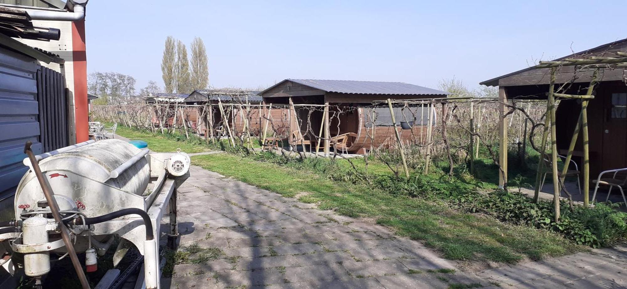 Wijndomein De Vier Ambachten -Overnachten In De Wijngaard Simonshaven 외부 사진