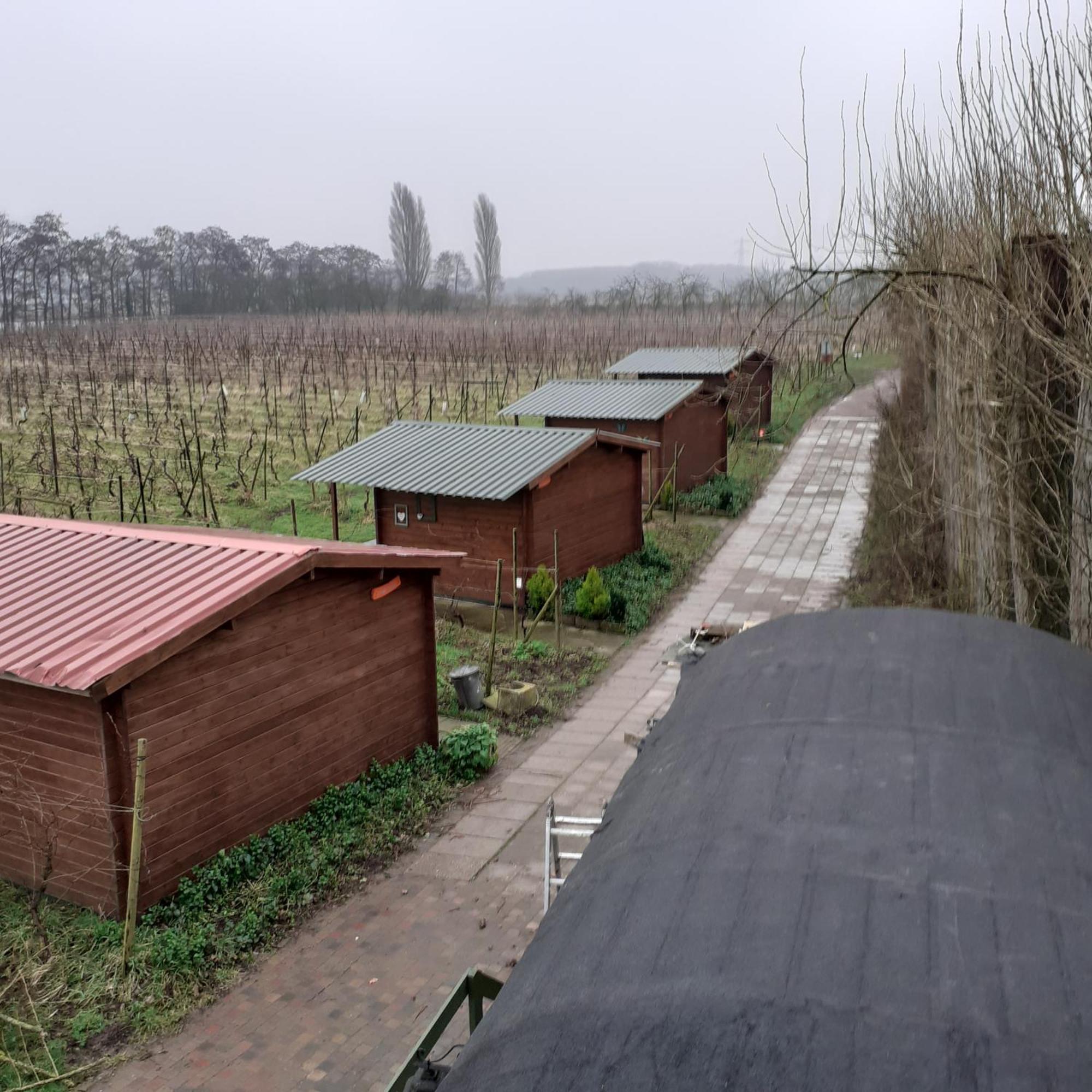 Wijndomein De Vier Ambachten -Overnachten In De Wijngaard Simonshaven 외부 사진